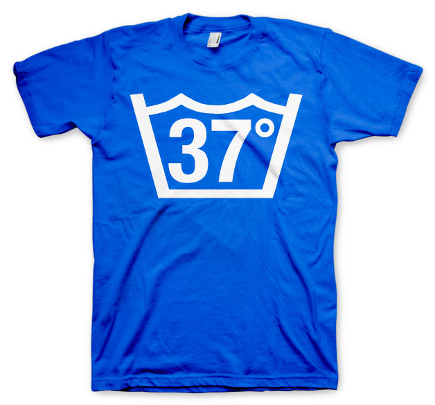37 Celcius T-Shirt – T-shirt