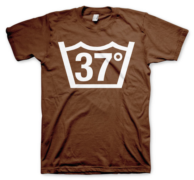 37 Celcius T-Shirt – T-shirt