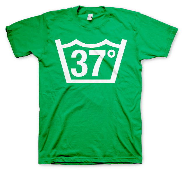 37 Celcius T-Shirt – T-shirt