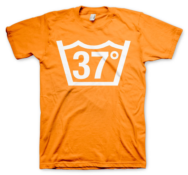 37 Celcius T-Shirt – T-shirt