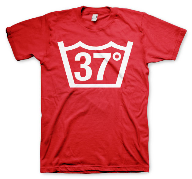 37 Celcius T-Shirt – T-shirt