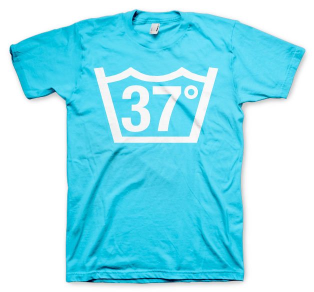 37 Celcius T-Shirt – T-shirt
