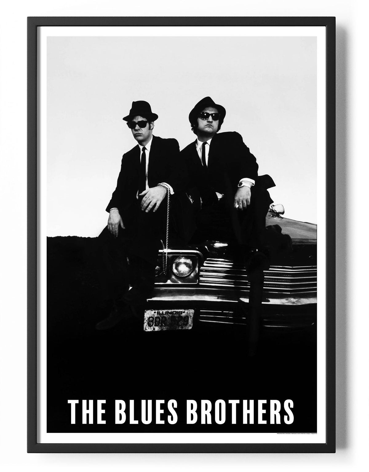 The Blues Brothers Poster – Poster