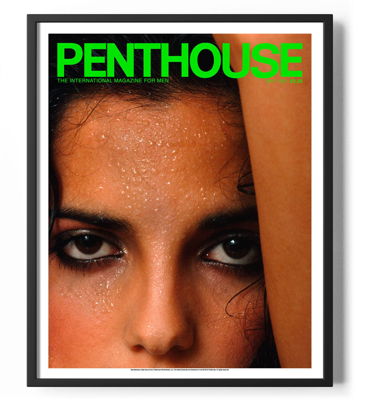 Penthouse Magazine May 1981 Cover Poster – Poster