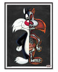 The Anatomy Of Sylvester Poster – Poster