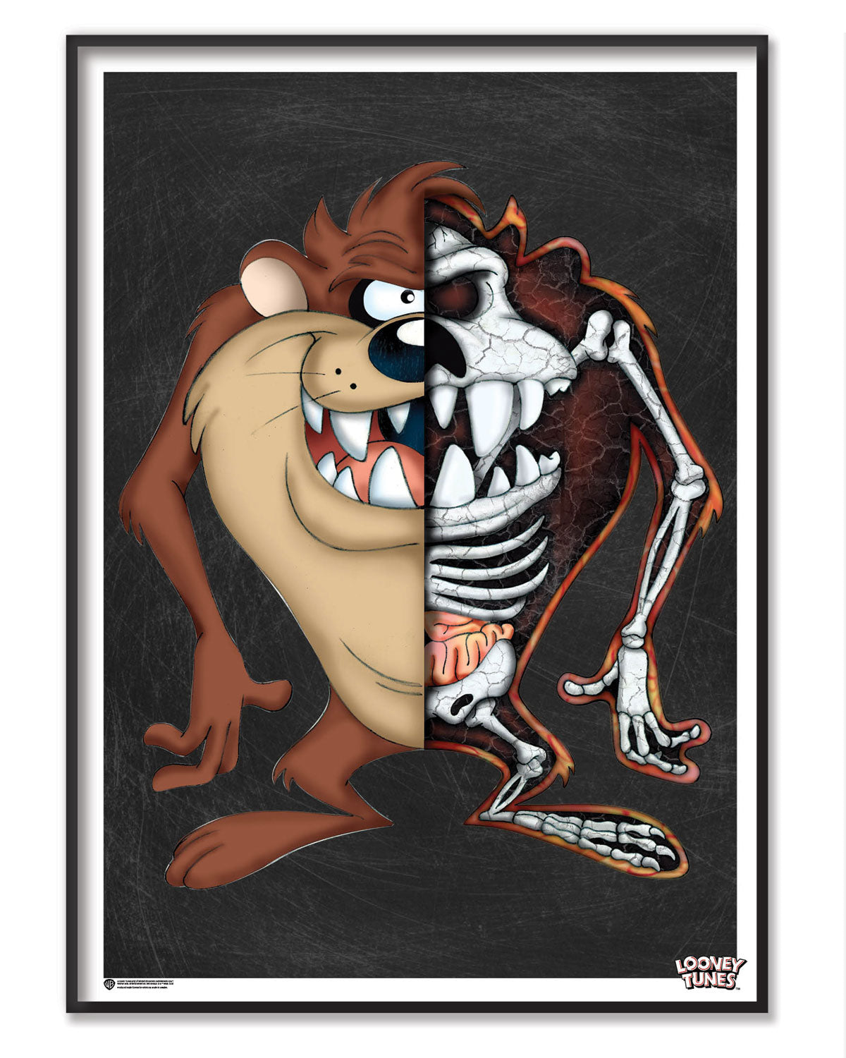 The Anatomy Of Tasmanian Devil Poster – Poster