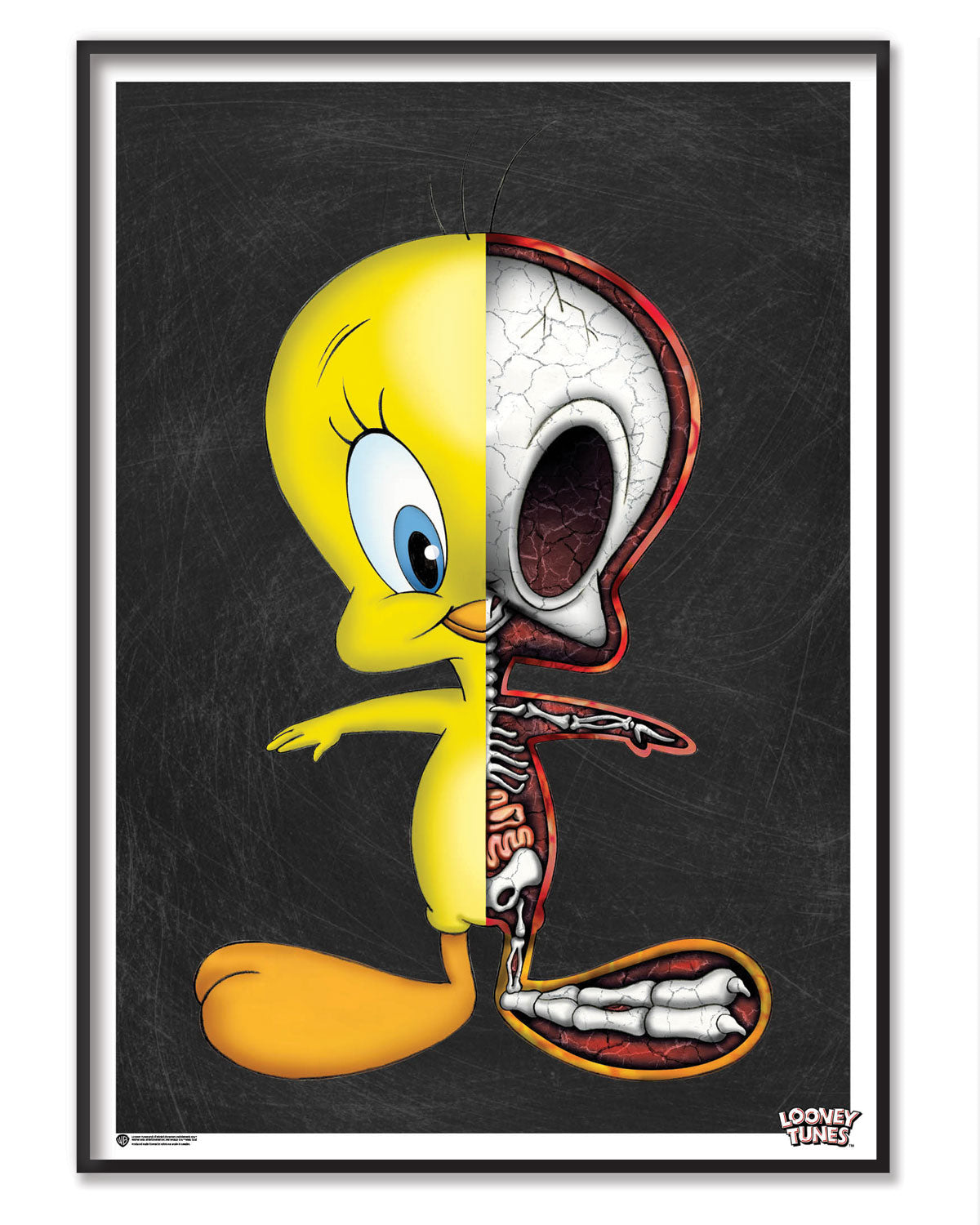 The Anatomy of Tweety Poster – Poster