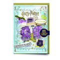 Carte de Noël Harry Potter Chemin de Traverse avec badge Olivanders