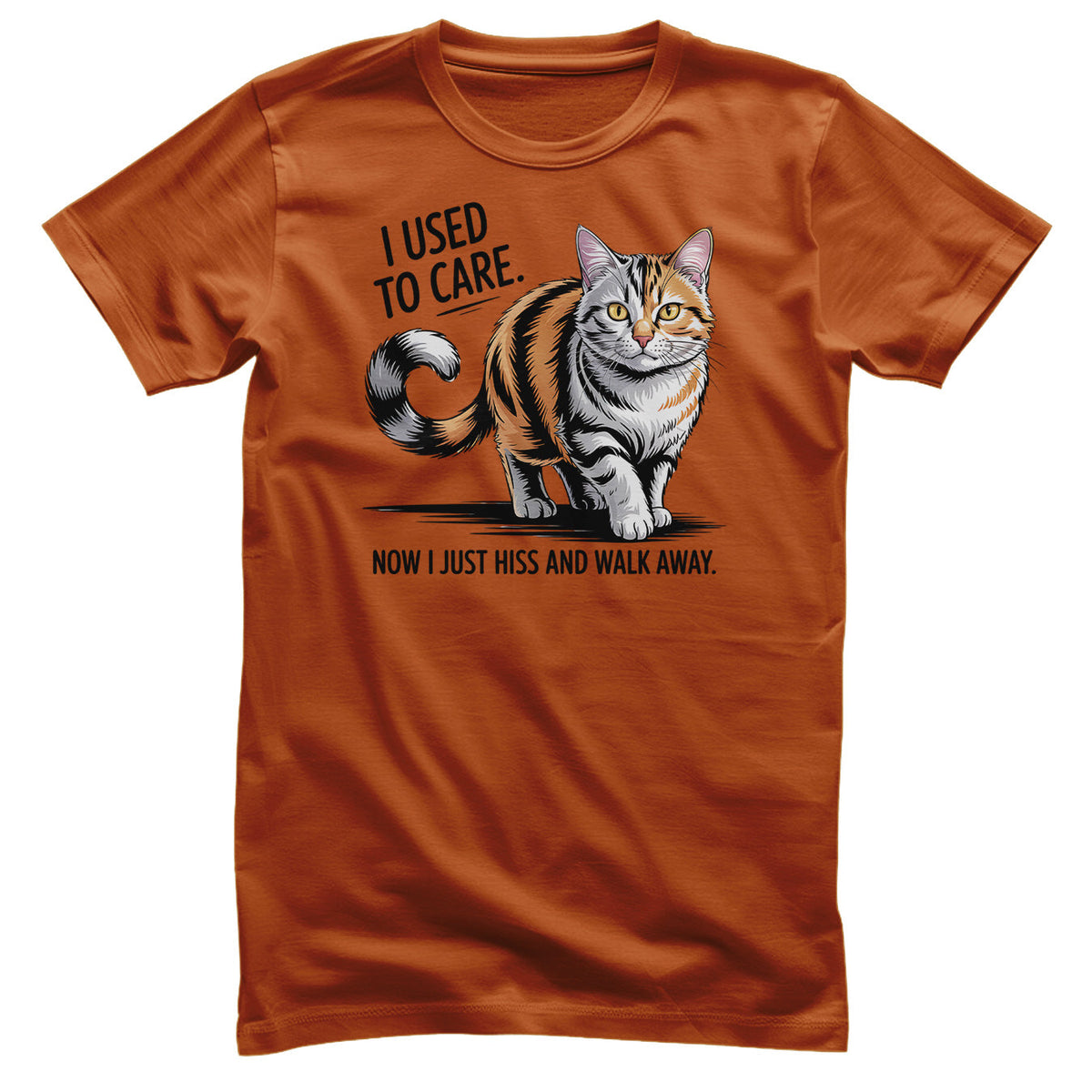 I Used To Care Tee – T-shirt