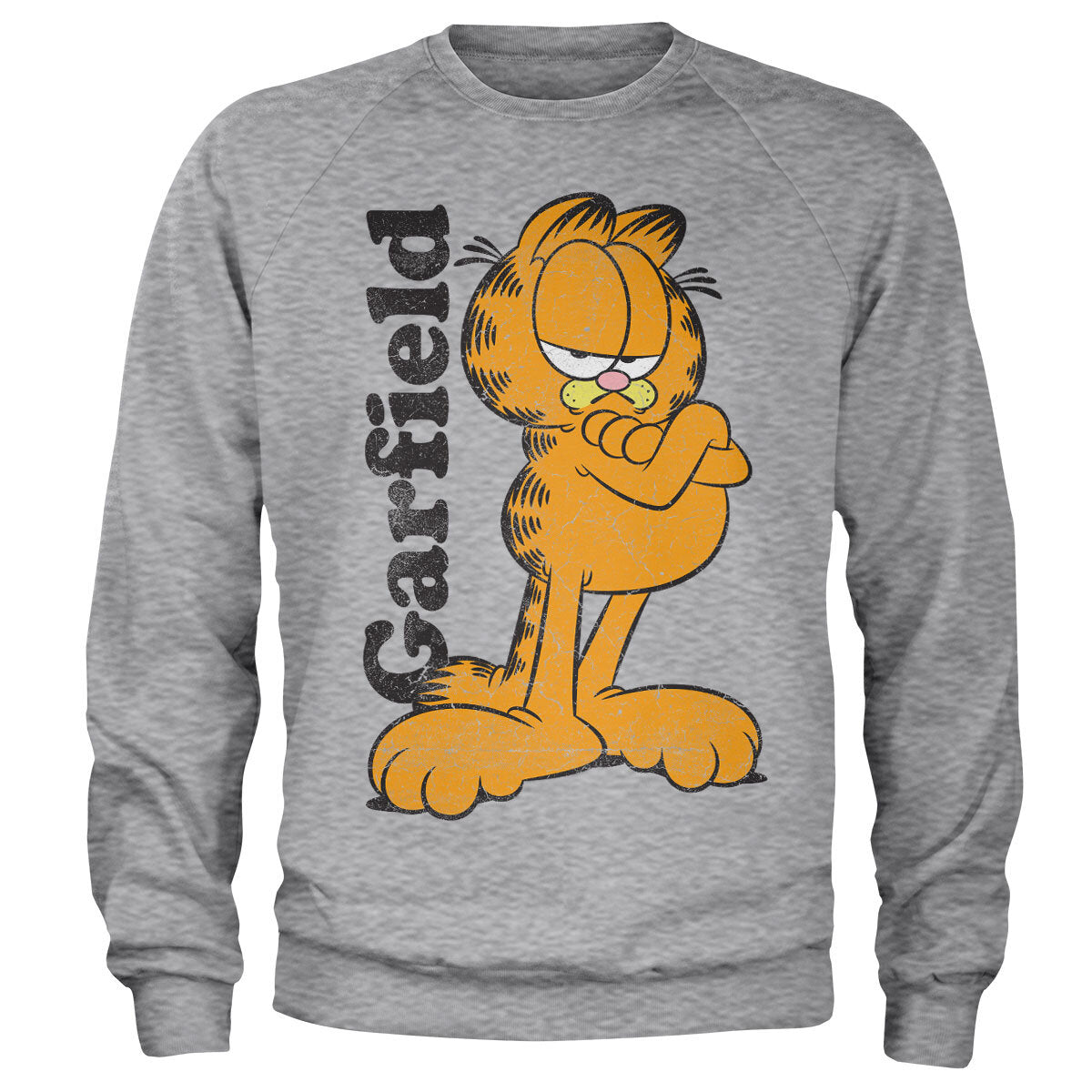 Garfield Sweatshirt – Sweat