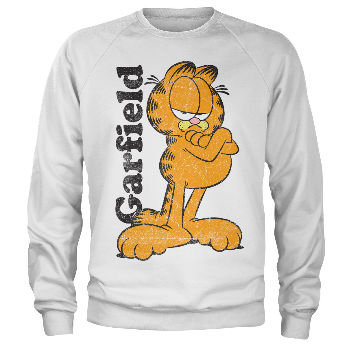 Garfield Sweatshirt – Sweat