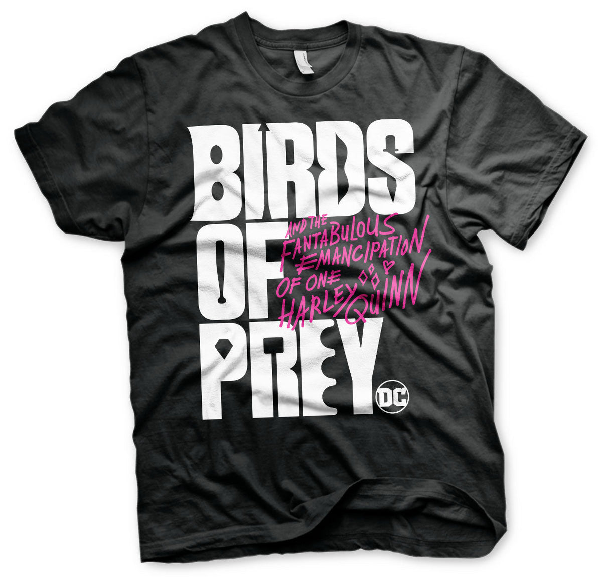 Birds Of Prey Logo T-Shirt – T-shirt