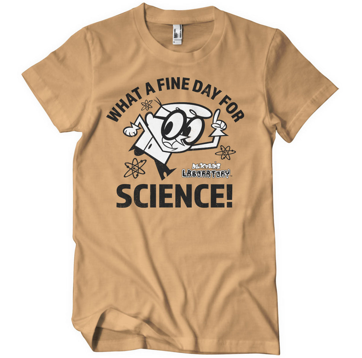 What A Fine Day For Science T-Shirt – T-shirt