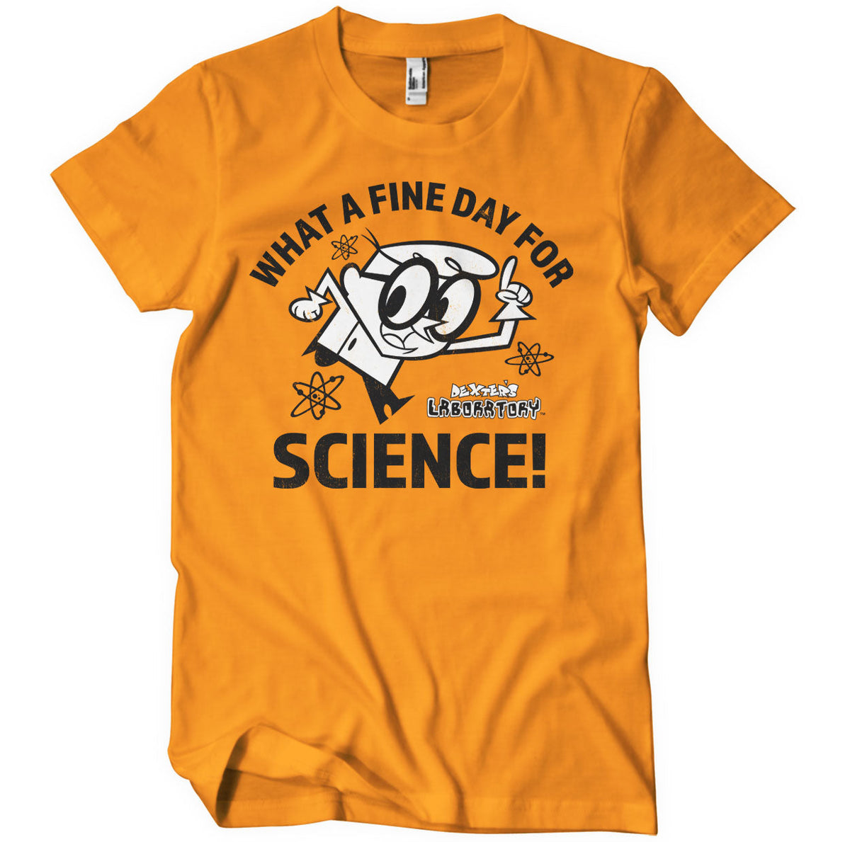 What A Fine Day For Science T-Shirt – T-shirt