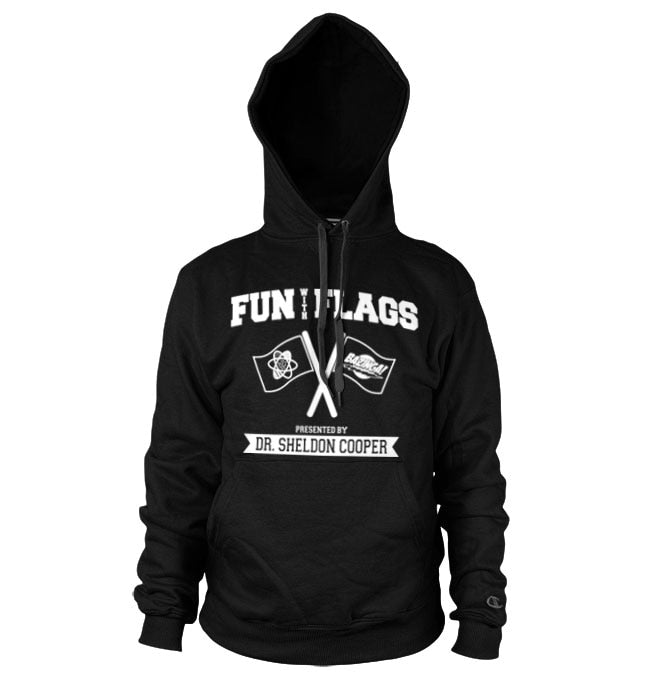 Fun With Flags Hoodie – Sweat à capuche