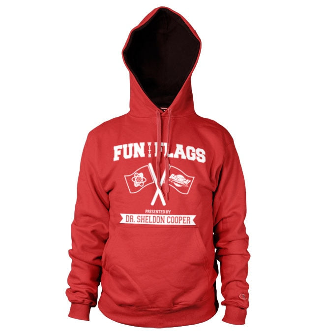 Fun With Flags Hoodie – Sweat à capuche