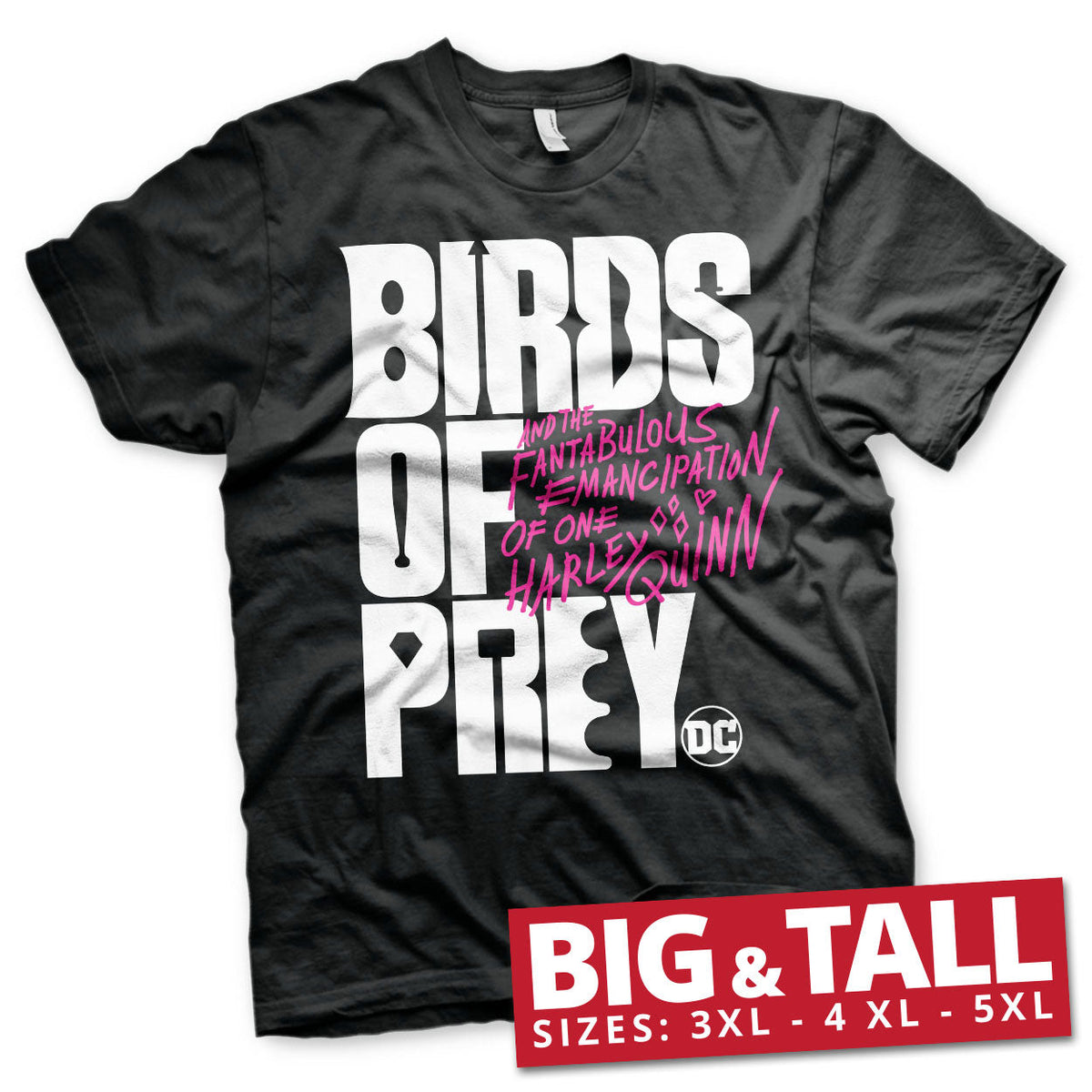 Birds Of Prey Logo Big & Tall Tee – T-shirt grande taille